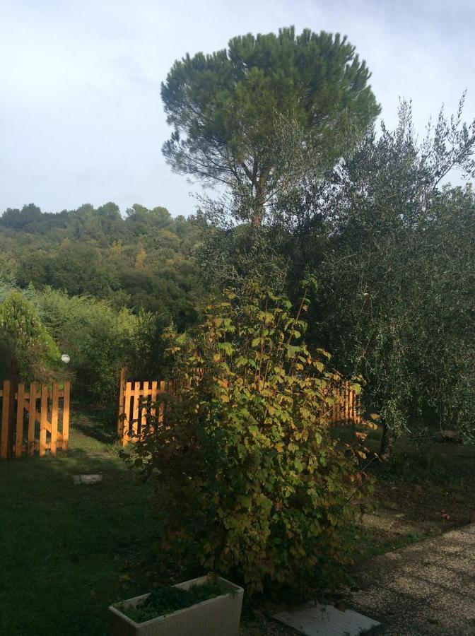 B&B Il Frassino Perugia Zewnętrze zdjęcie