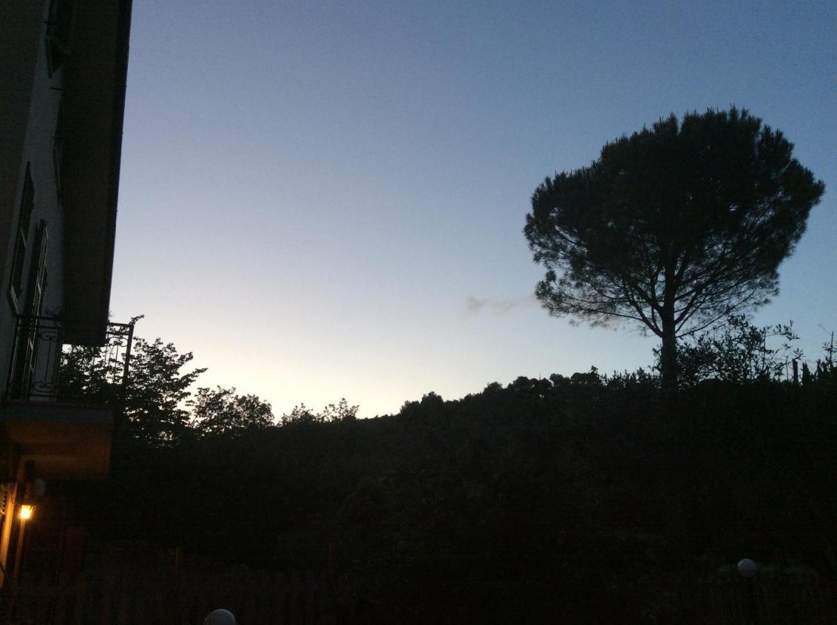 B&B Il Frassino Perugia Zewnętrze zdjęcie