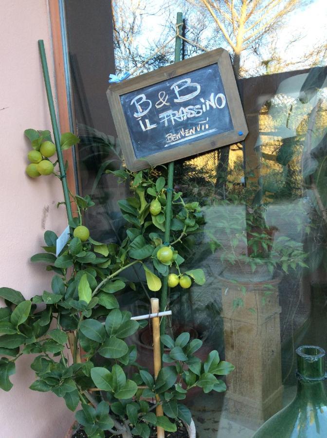 B&B Il Frassino Perugia Zewnętrze zdjęcie