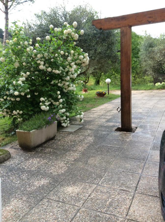 B&B Il Frassino Perugia Zewnętrze zdjęcie